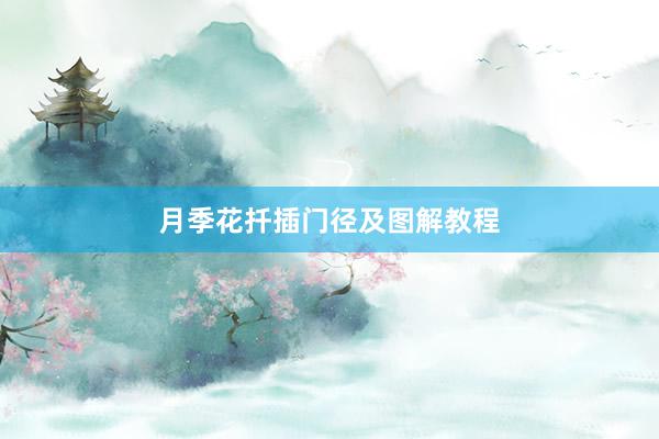 月季花扦插门径及图解教程