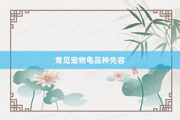 常见宠物龟品种先容