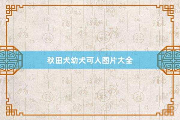 秋田犬幼犬可人图片大全